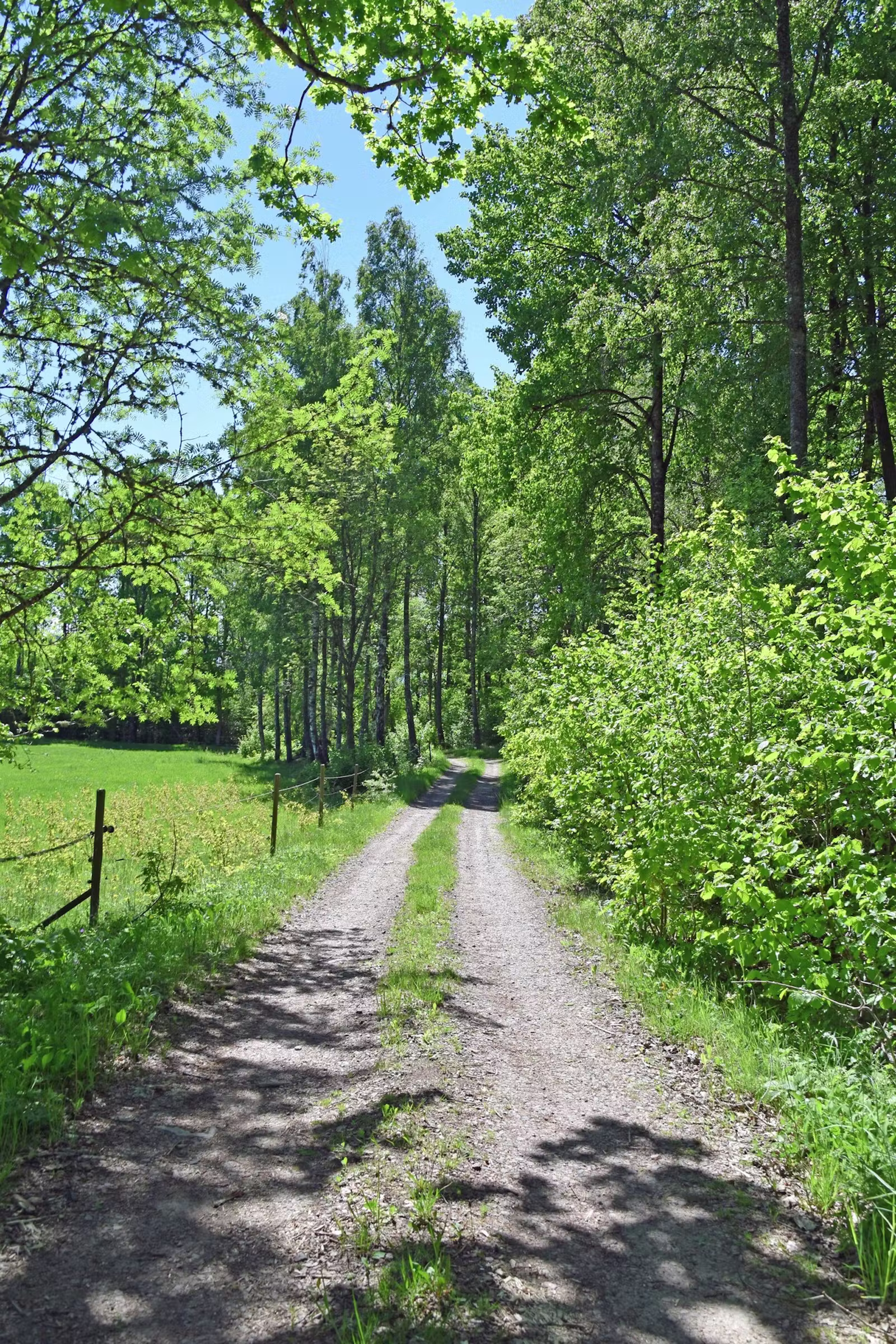 Gård i Skärbäck om 72 ha