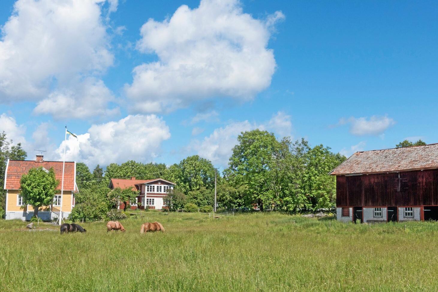 Norrgården ägs av lokalbefolkningen via en stiftelse och kan delvis få brukas av öns nya bonde.