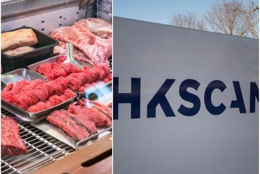 HK Scan vill säga upp 220 tjänstemän. Det handlar om en översyn med spetsen riktad mot 1 200 tjänstemän i ledande befattningar på HK Scan i Finland, Sverige, Danmark, Baltikum och Polen.