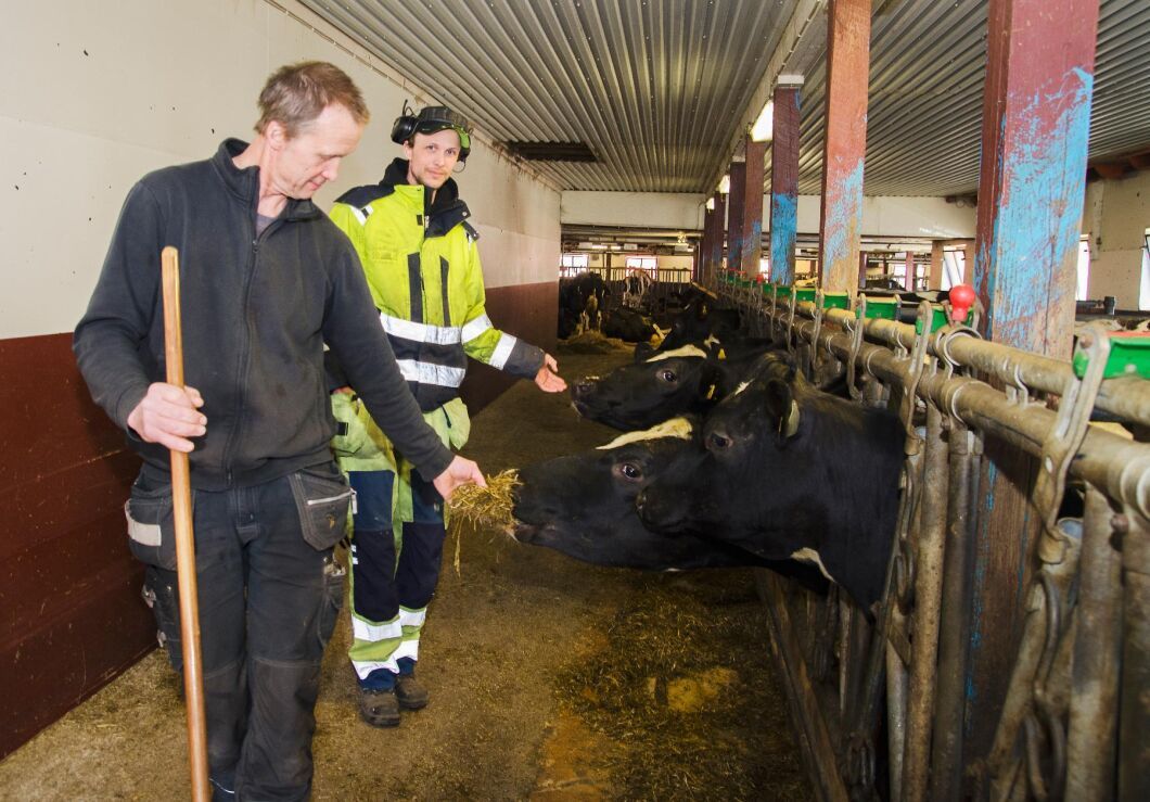 På Kimramåla har de inga ”monsterkor” som mjölkar 18 000 kg om året, men en jämn produktionstakt i besättningen, säger Jörgen Petersson. Här tillsammans med sonen Martin Petersson som också jobbar i verksamheten.