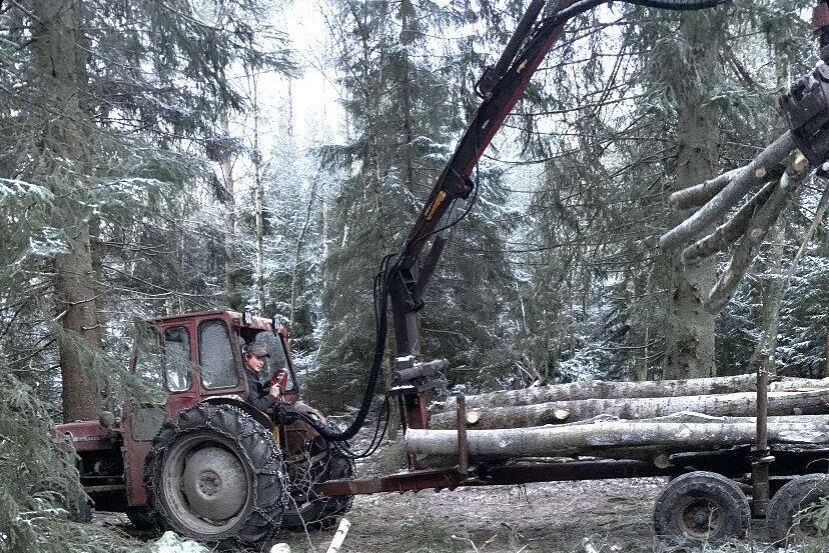 Massey Ferguson med skogsvagn från Leo Ivarsson.
