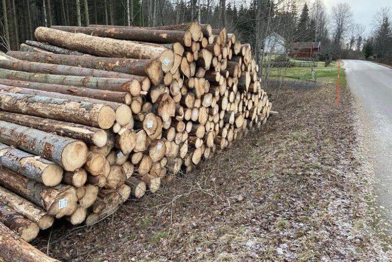 2 900 kronor för att lägga upp en trave massaved utmed vägen på ens egen mark? Ja, så är det.