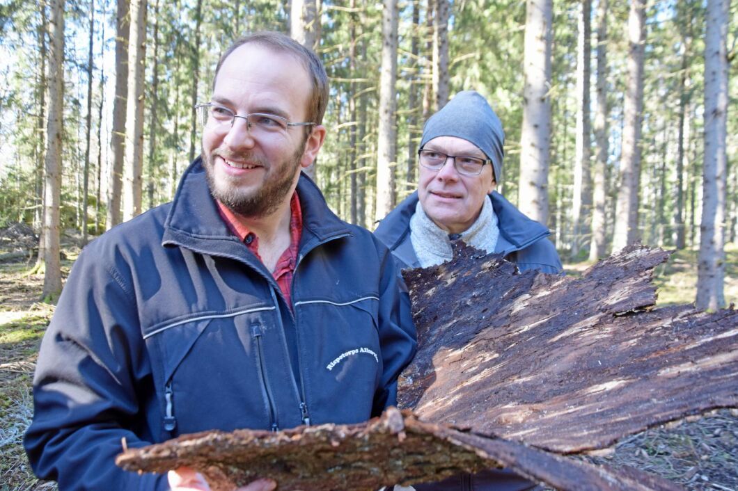 Marcus Augustini berättar att flygbilden överensstämmer väl med verkligheten Mats Åkerman, skogsrådgivare på Hushållningssällskapet, är försiktigt positiv till att använda drönare mer när det gäller att inventera skador på skogen.