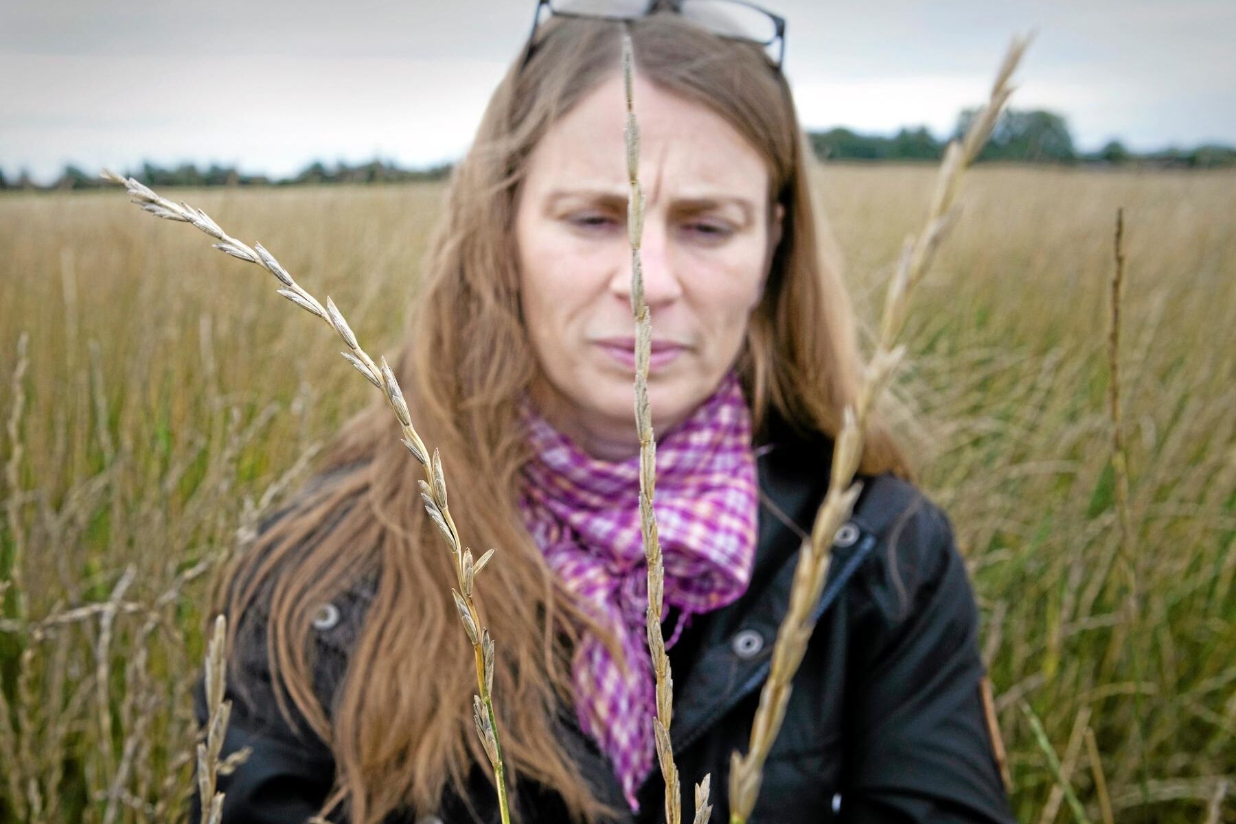 Linda-Maria Mårtensson , universitetslektor och forskare vid institutionen för biosystem och teknologi.
