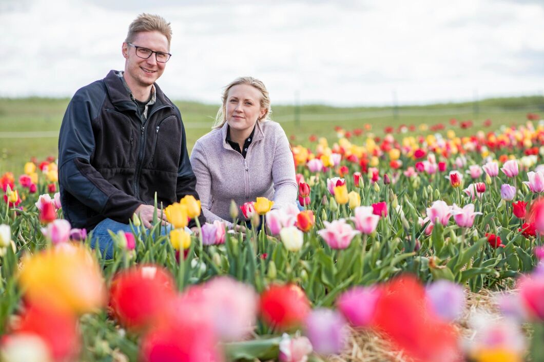 Joakim och Malin Svensson driver Lunnarps Jord & Fjäder. De siktar på fortsatt expansion av odlingen av snittblommor och tulpanlökar. Blommor ger bättre betalt än till exempel morötter, resonerar de.