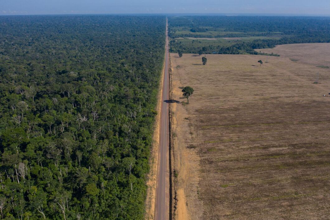 Sojaodling på tidigare skogsmark i Brasilien (arkivbild).