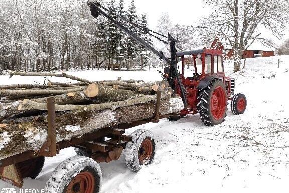 En Buster veterantraktor och vajerkran är aldrig fel att ha på gården.