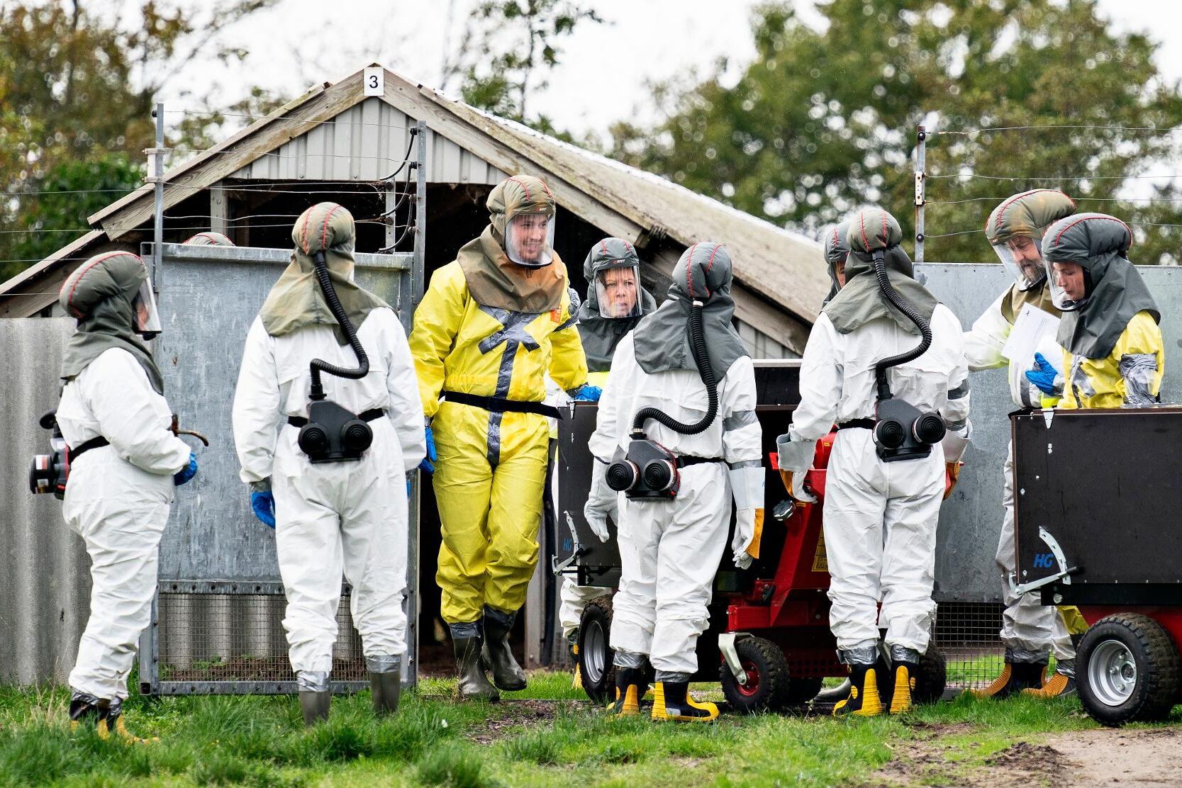Muterat coronavirus från mink har hittats hos 214 personer i Danmark under perioden juni till oktober.