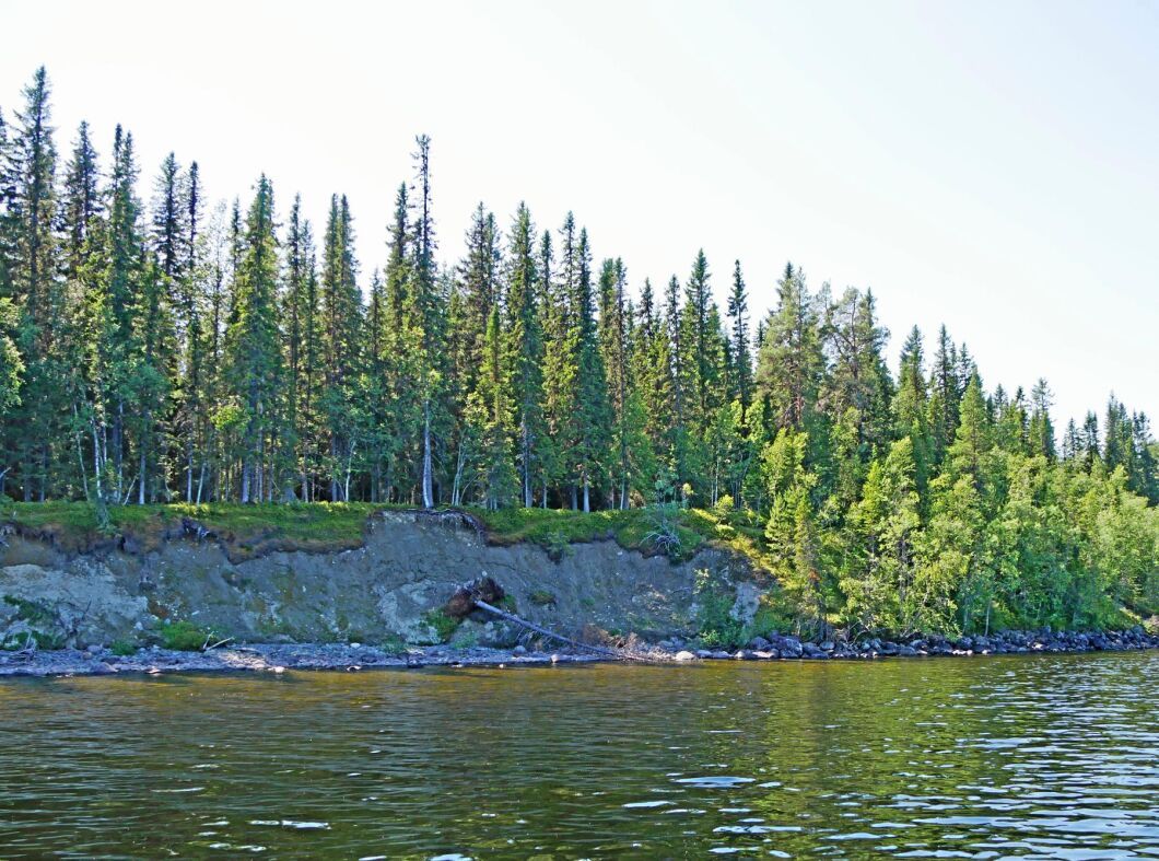 På den aktuella fastigheten, som ligger längs sjön Malgomajs strand i Vilhelmina, har erosionsskador uppkommit under en längre tid.