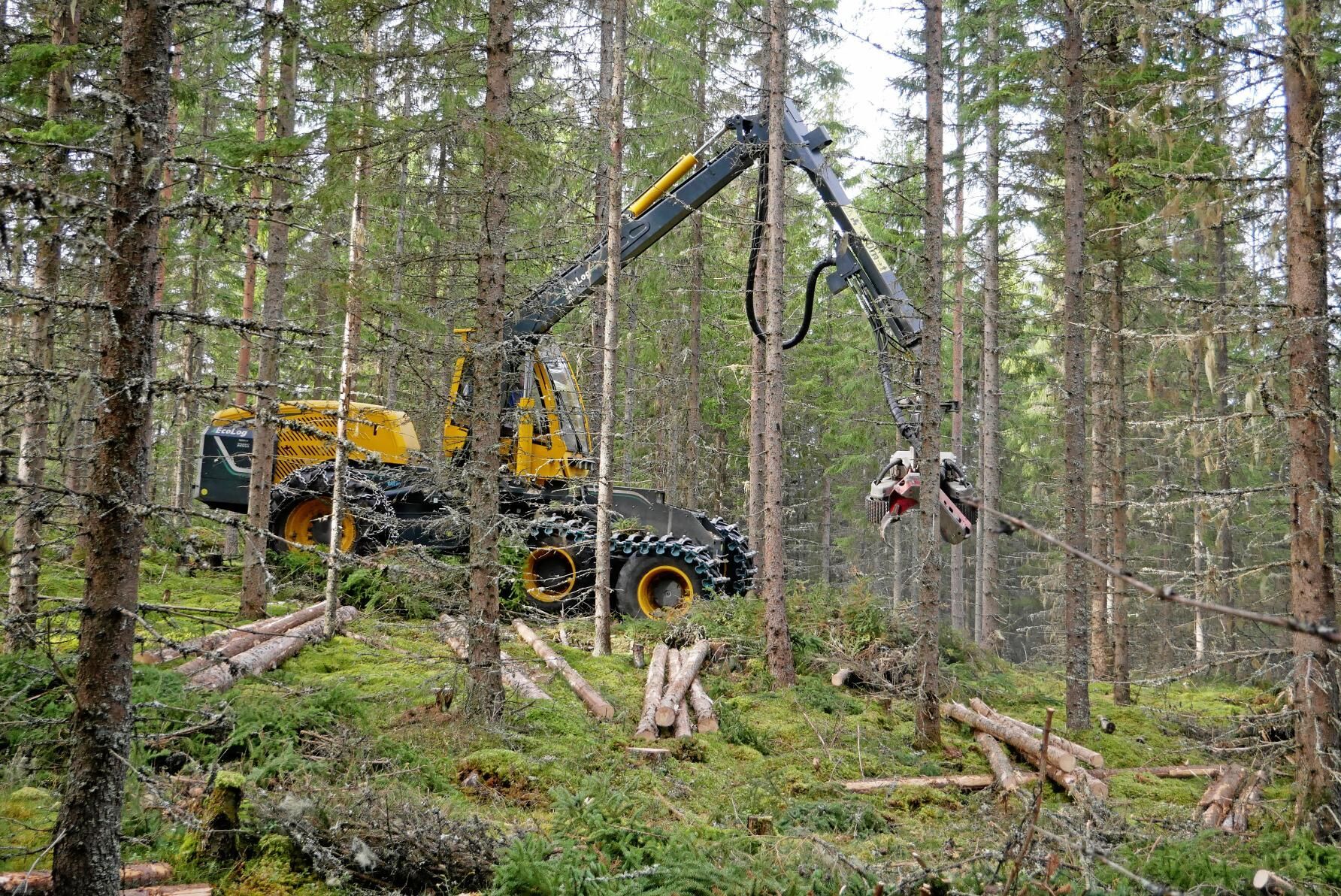 Eco Log erbjuder sju skördarmodeller, från den lilla gallringsmaskinen fyrhjulsskördaren 550 F till slutavverkningsskördaren 1058H5.