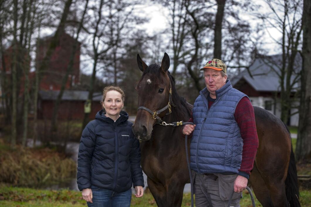 Madelen och Torbjörn Ohlzon hade hästarna som hobby innan de sadlade om. I dag har deras stuteri plats för 65 hästar.