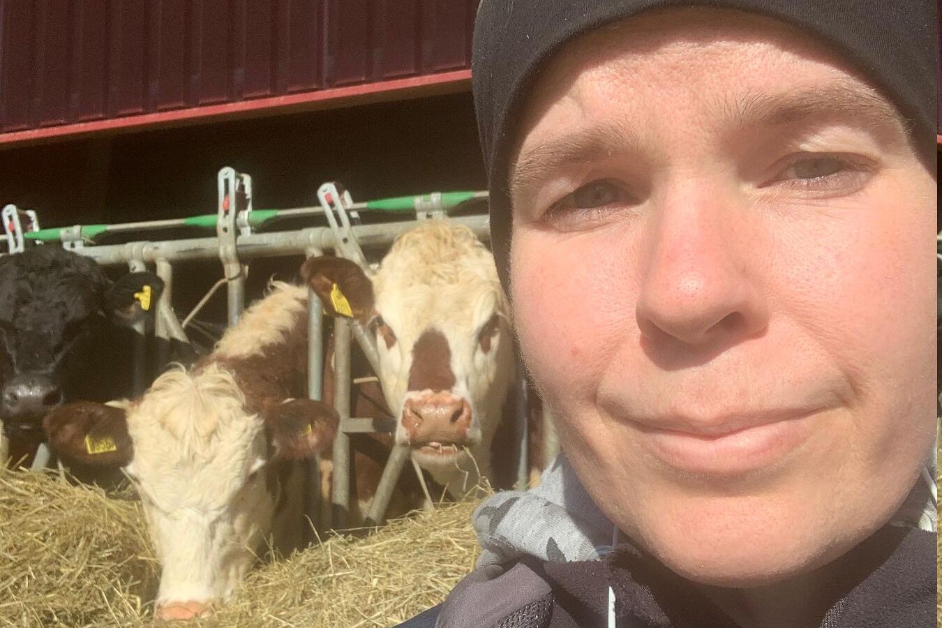 Jenny Töllborg driver Lillegården Kött och chark i Marks kommun. Gården bedriver ekologisk dikoproduktion med korsningar Angus/Hereford i huvudsak.
