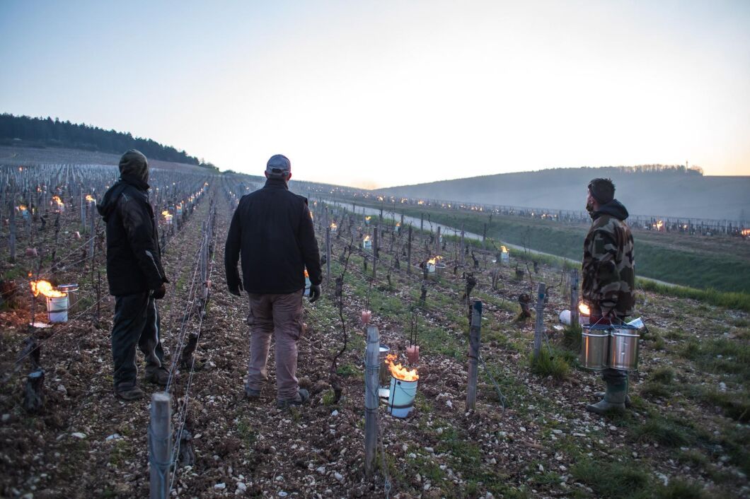 Chablis, Frankrike.