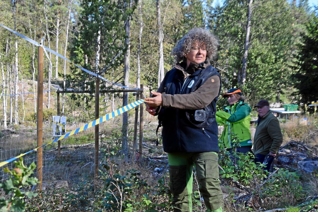 Annika Brodin, ordförande i Jägareförbundet Kalmar län invigde viltdemohägnet.
