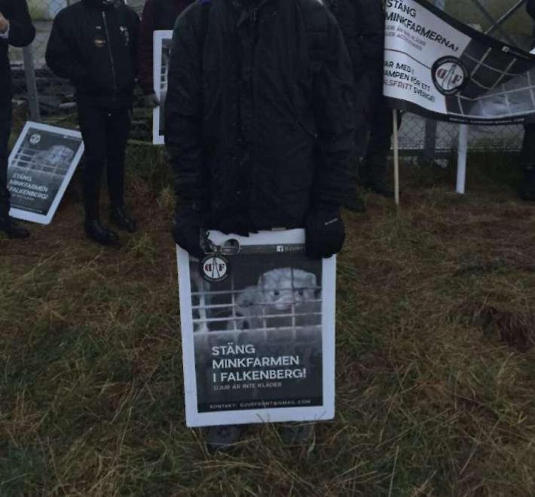 Enligt åtalet mot djurrättsaktivisterna pågick händelsen på minkfarmen under cirka två timmar.