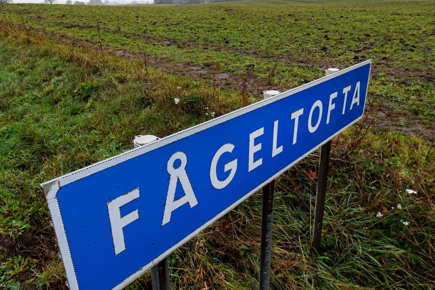 Fågeltofta på Österlen – ett av de områden där brittiska bolaget Scandivanadium Ltd har fått tillstånd att provborra efter vanadin. Arkivbild.