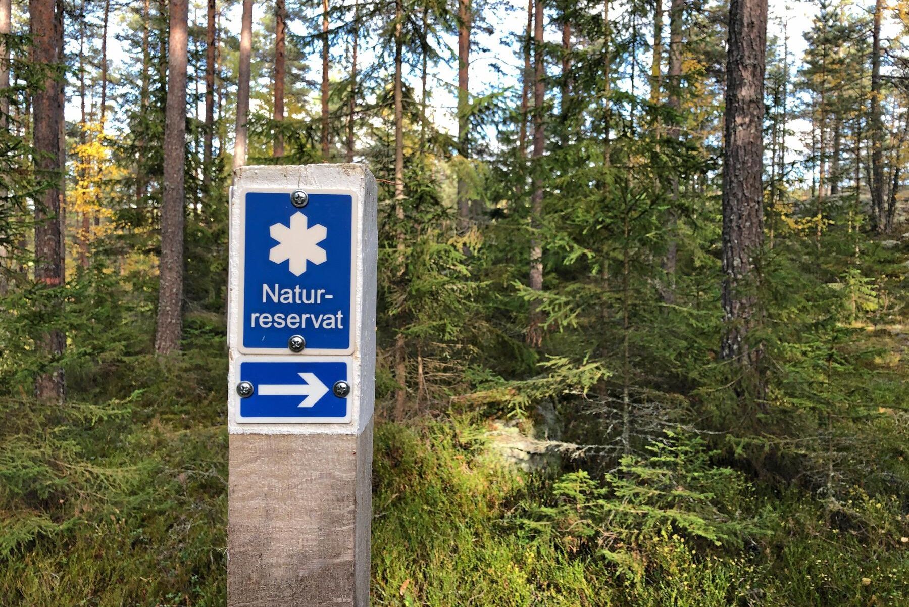 Naturreservat är en av de skyddsformer som Sverige rapporterar in till EU.