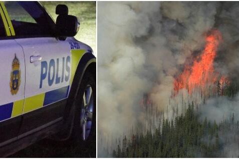Flera anlagda skogsbränder i Högsby på kort tid
