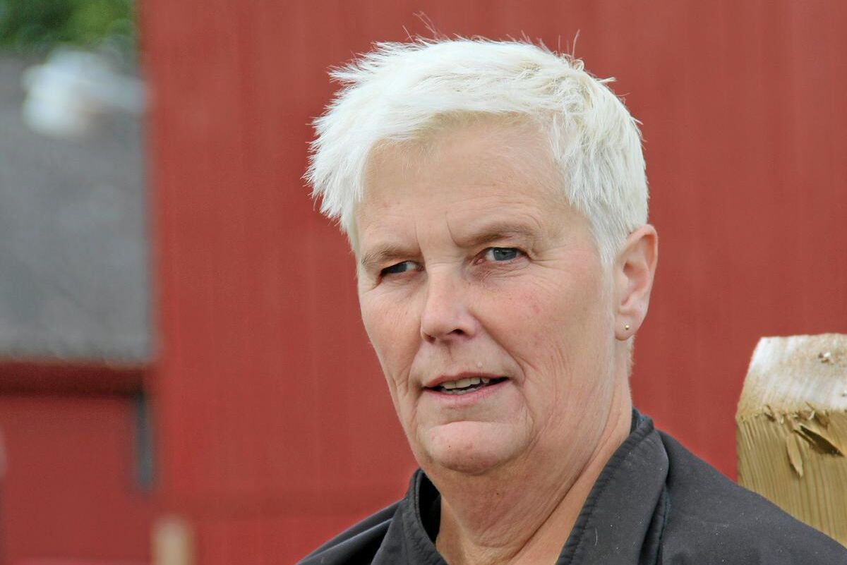 Catharina Rudolphson uppskattar att via wifi kunna arbeta med andra delar av företagandet under skörden och att kunna använda modern övervakningsteknik på gården.