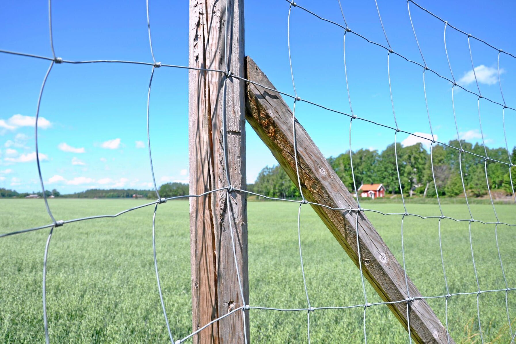 Djurägare i Falkenberg och Varberg kan ansöka om bidrag fär att stängsla in nya betesmarker.