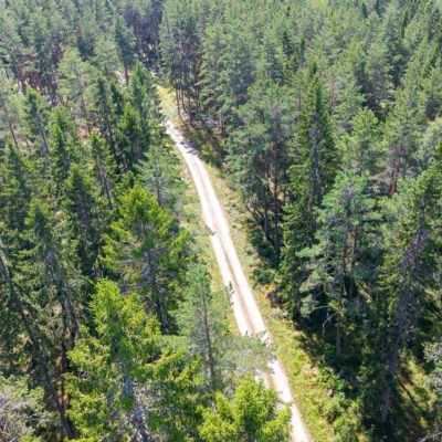 Skogsfasrtighet i Hedesunda