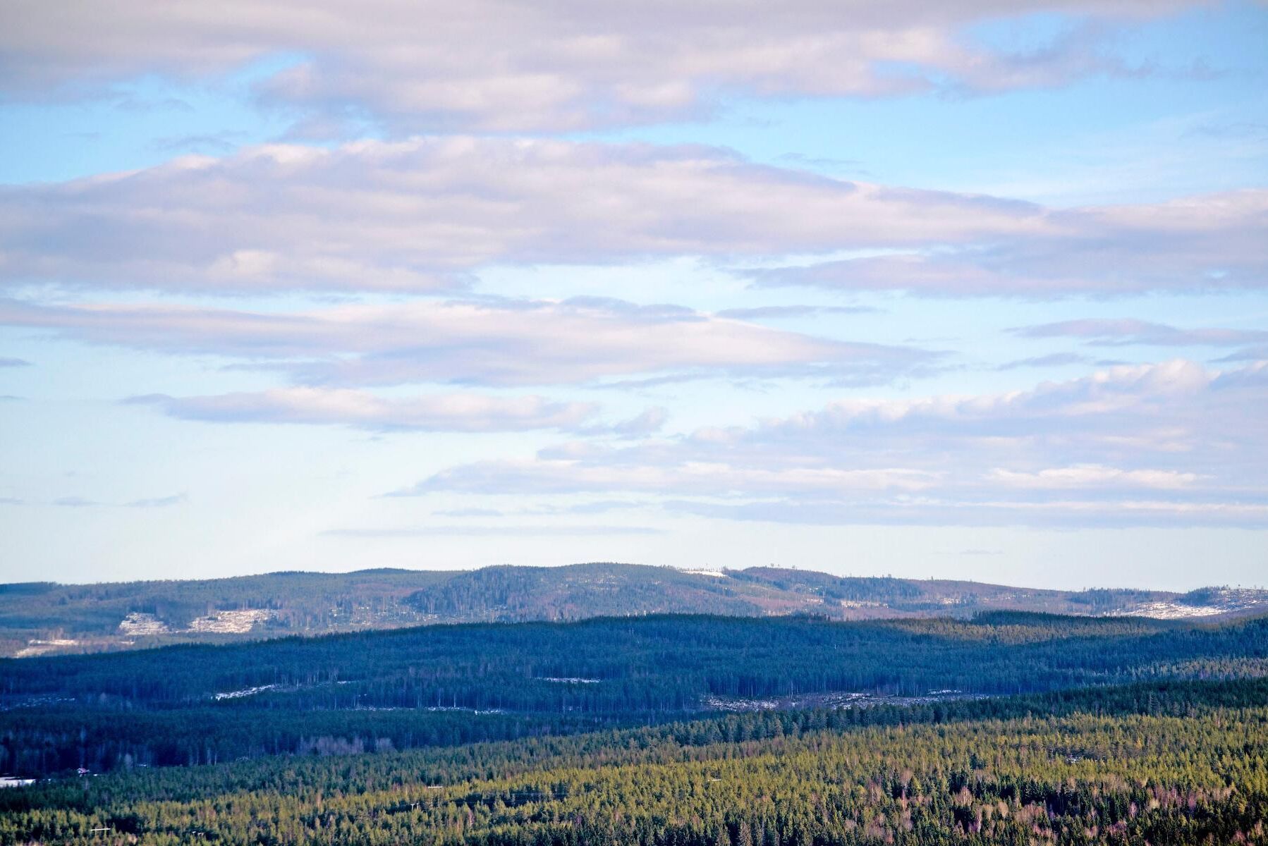 Mycket för pengarna. I norra Sverige räcker 3 miljoner kronor till 112 hektar med 11 300 kubikmeter skog. I söder ger samma peng 26 hektar och 4 200 kubikmeter, enligt LRF Konsults prisstatistik.