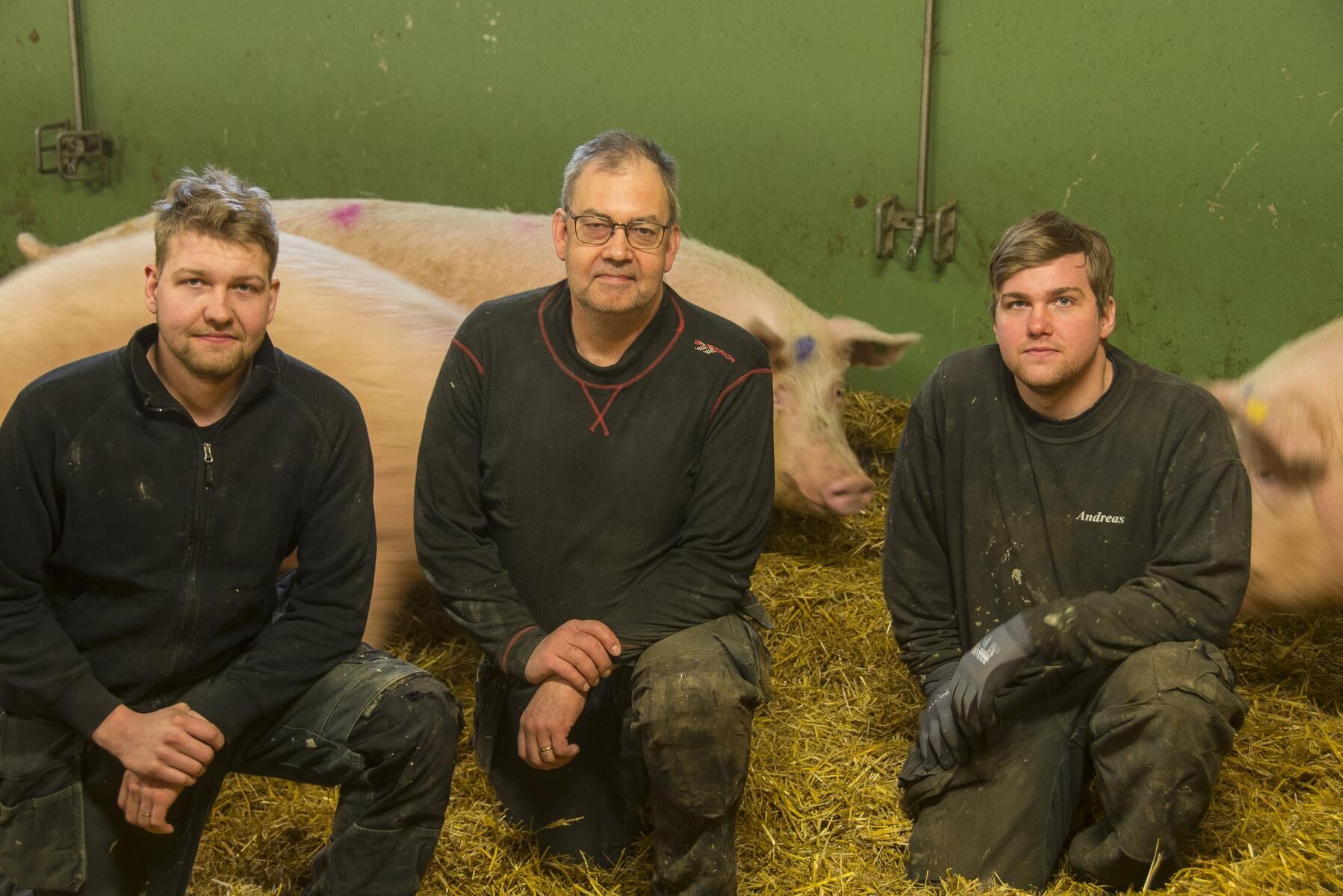Andreas Persson (till vänster), pappa Anders Persson (mitten) och Johan Persson (till höger) driver Linfläcks gård tillsammans.