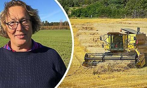 Kvinnligt ägande ökar: ”Fler vågar och vill”
