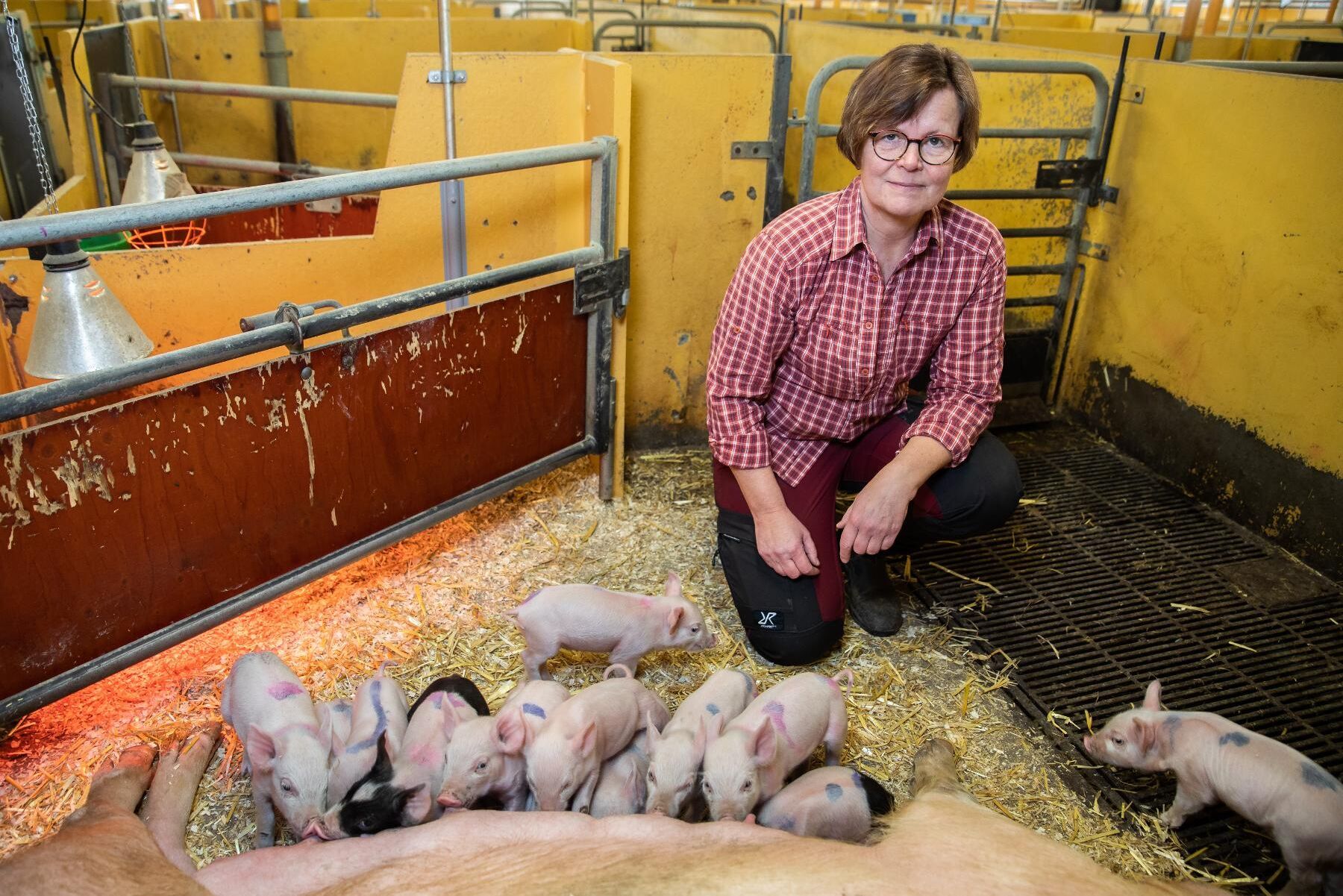 Åsa Odell är grisbonde och ordförande för LRF Kött. Hon känner till flera fall där djurägare drabbats av vad de upplevt som godtyckliga beslut.