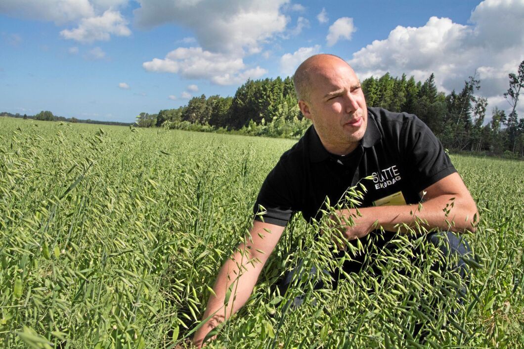 Emil Olsson, ägare till Slätte gård och Slätte ekodag, blir en av föreläsarna när Ekodagen hålls på Grand i Stockholm.