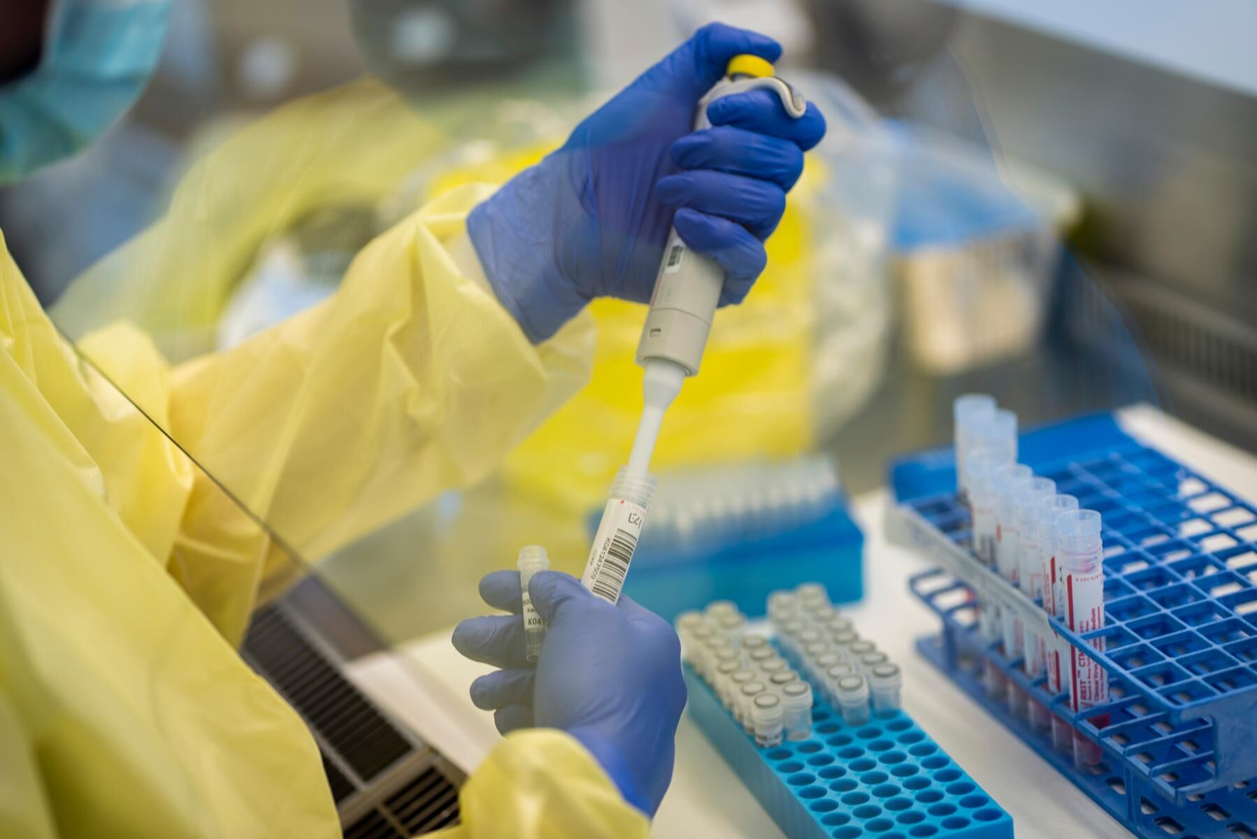 Statens veterinärmedicinska anstalt ska hjälpa till att analysera covidtester. Arkivbild.
