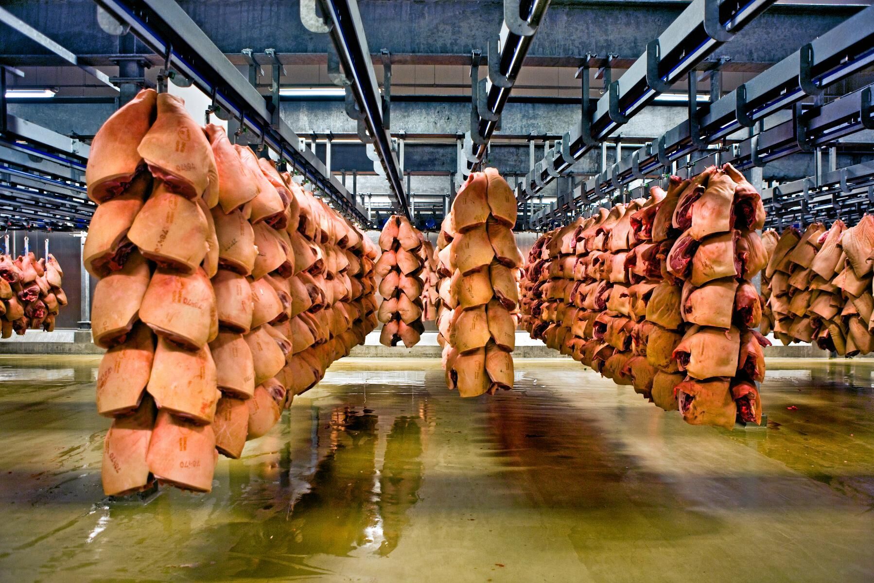Exporten till Kina från slakteriet i Horsens ligger nere för tillfället.