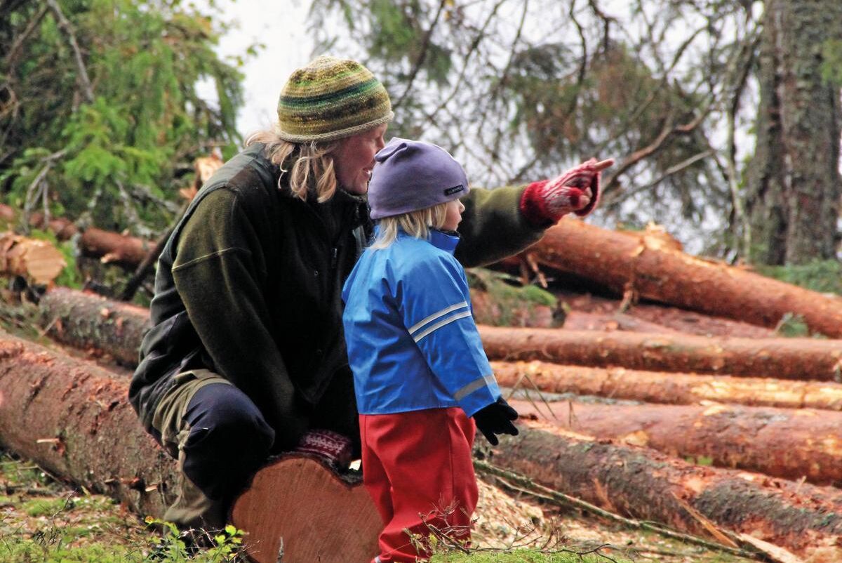 Passa på att vara med familjen i skogen när julen och nyår erbjuder lite extra ledighet.