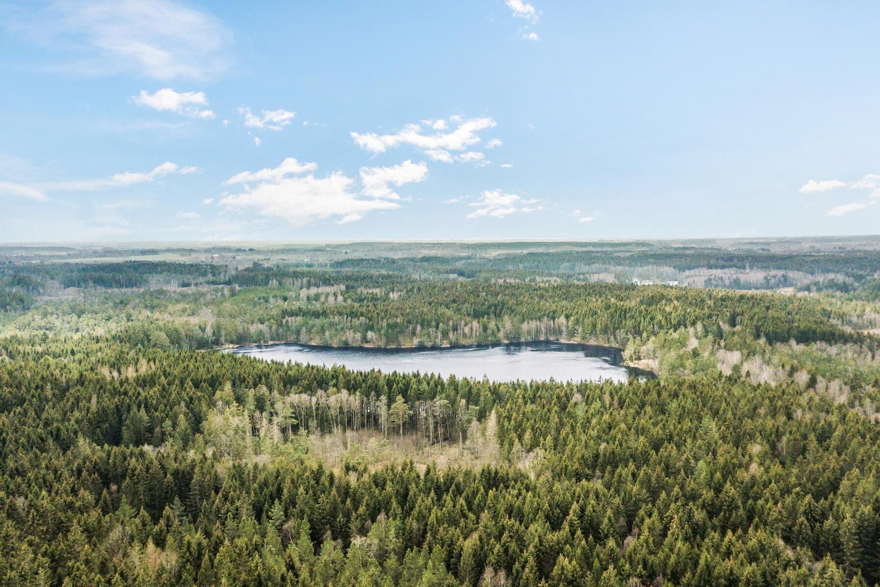Stora Enso säljer 5 200 hektar skogsmark i Halland.
