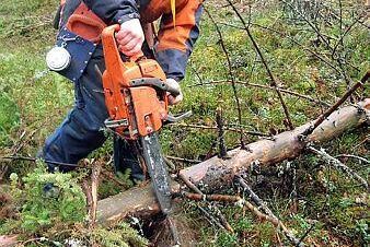 Yrkesverksamma inom jord och skog utsatta för arbetsplatsolyckor.