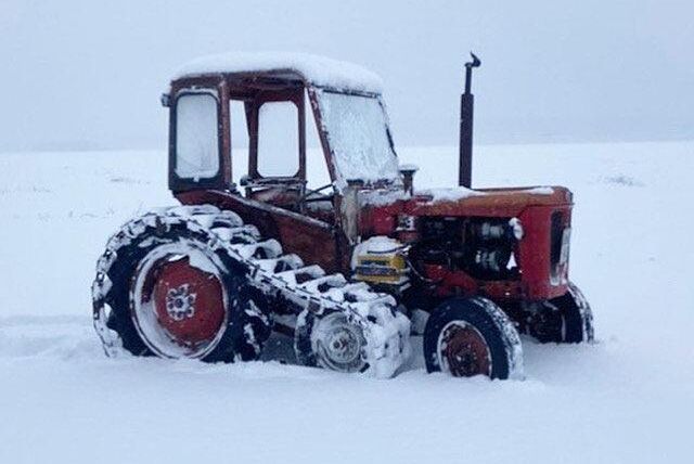 BM Volvo Buster med halvband går fram bra i snö. Bild från Håkan Dalen.