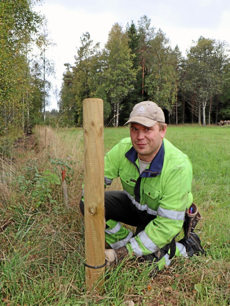 Olof Sjöholm, uppskattar att han lägger en arbetsvecka om året på stängsling.