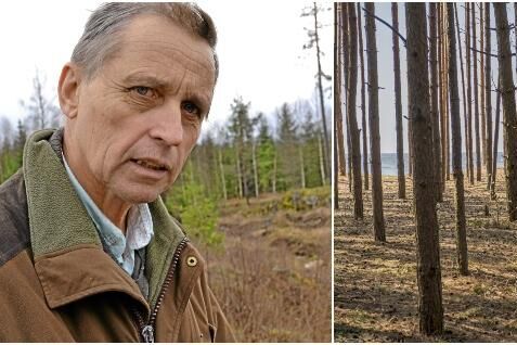 SCA kommer att förvärva 9 600 hektar lettisk skog från Livland Skog för 260 miljoner. Livland skog är nöjda med affären, säger VD Olle Sundin.