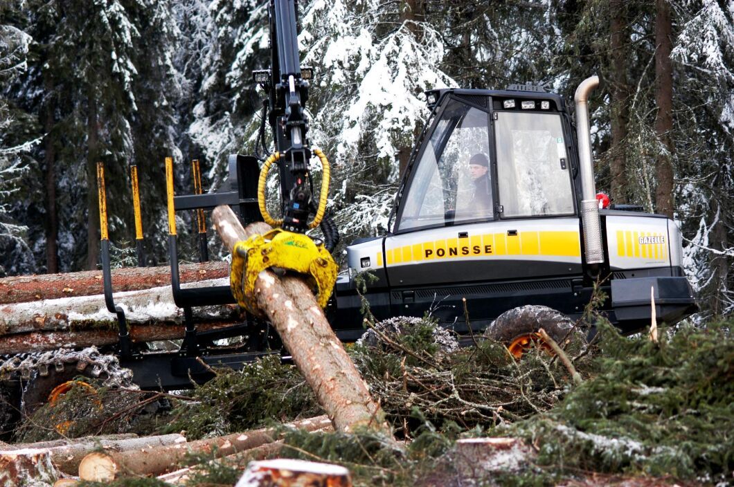 Arkivbild. Finska staten vill att skogsägare utan ersättning ska avsätta skog för skydd.
