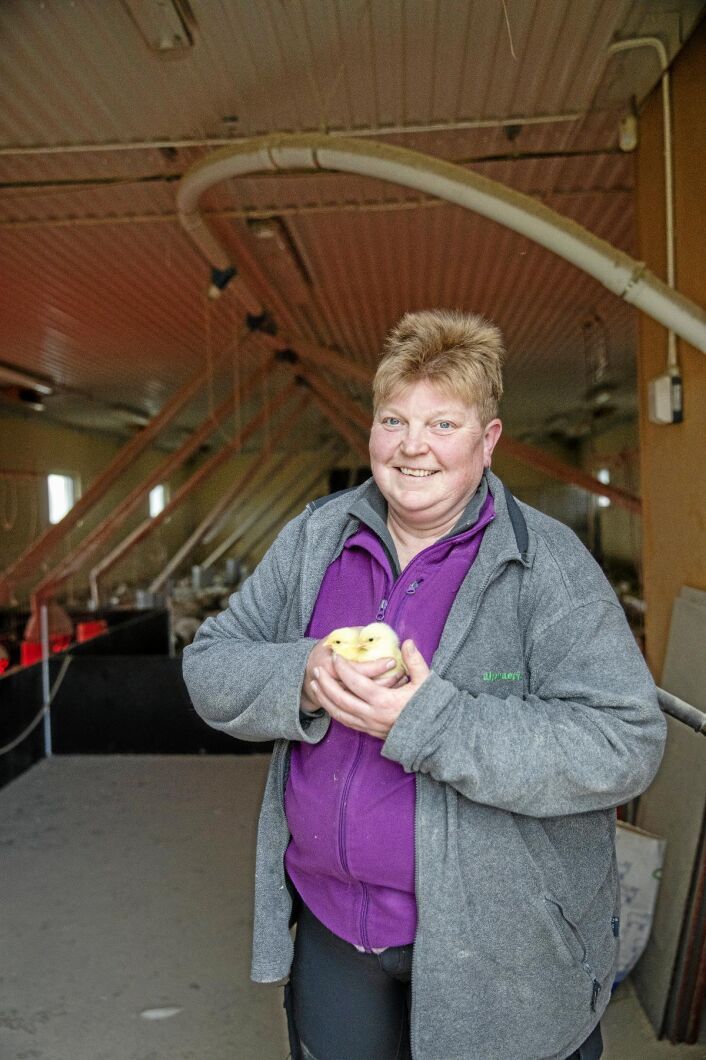 Den småskaliga livsmedelsproducenten Elin Ericsson och hennes sambo Leif Sundström är djupt förankrade i Dalarna. Sedan 1992 har de utvecklat företaget Matses mat med säte i byn Pungmakarbo.