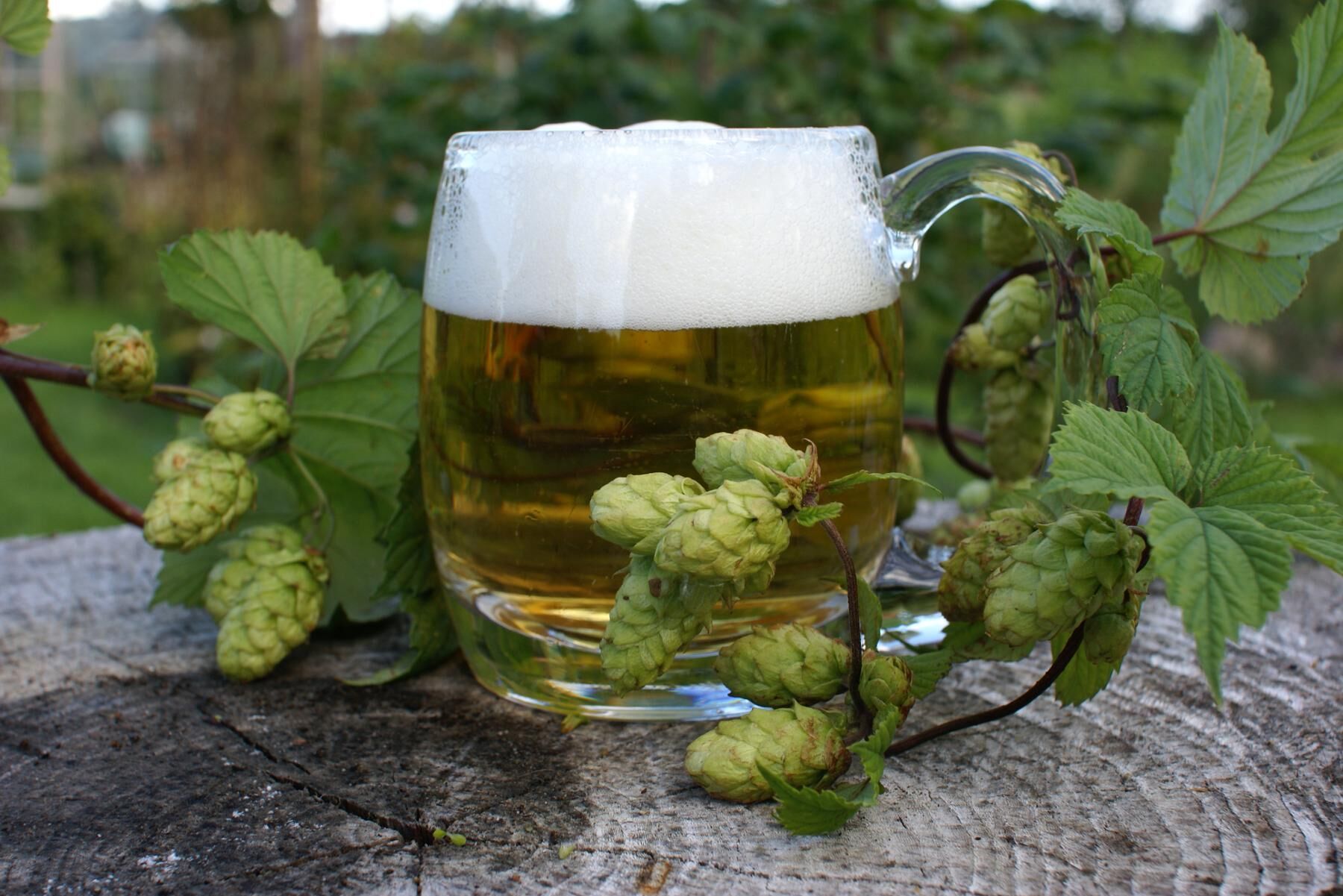 Partierna tycker till om huruvida gårdsförsäljning av alkohol bör tillåtas eller inte.