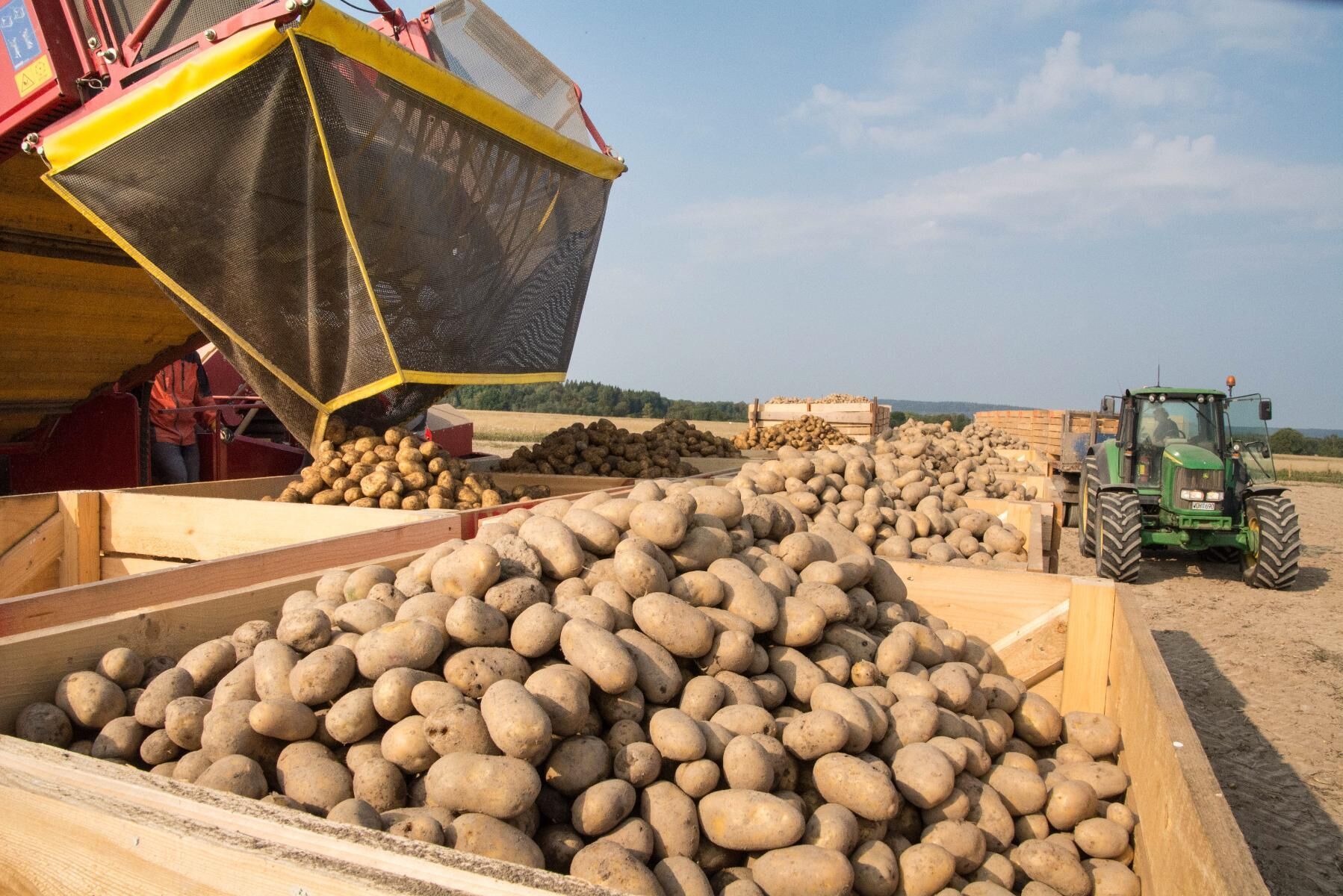 Kampanjer för eko och vegoprodukter har minskat. Arkivbild på ekologiskt odlad potatis.