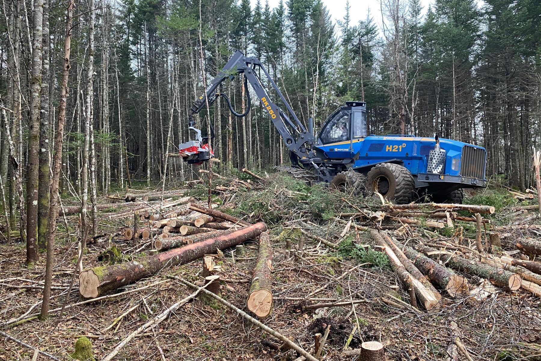 Rottne satsar västerut med nya återförsäljare och serviceställen.