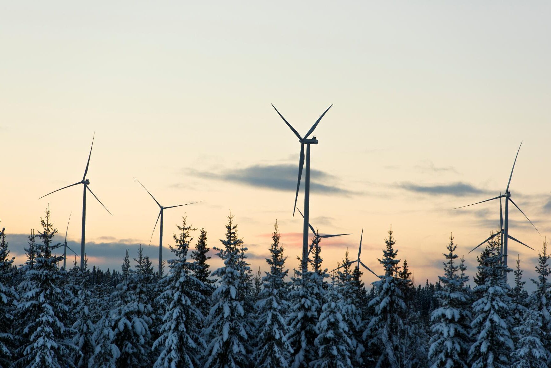 Är denna industri förnybar, hållbar, klimatvänlig och grön?, frågar sig debattörerna.