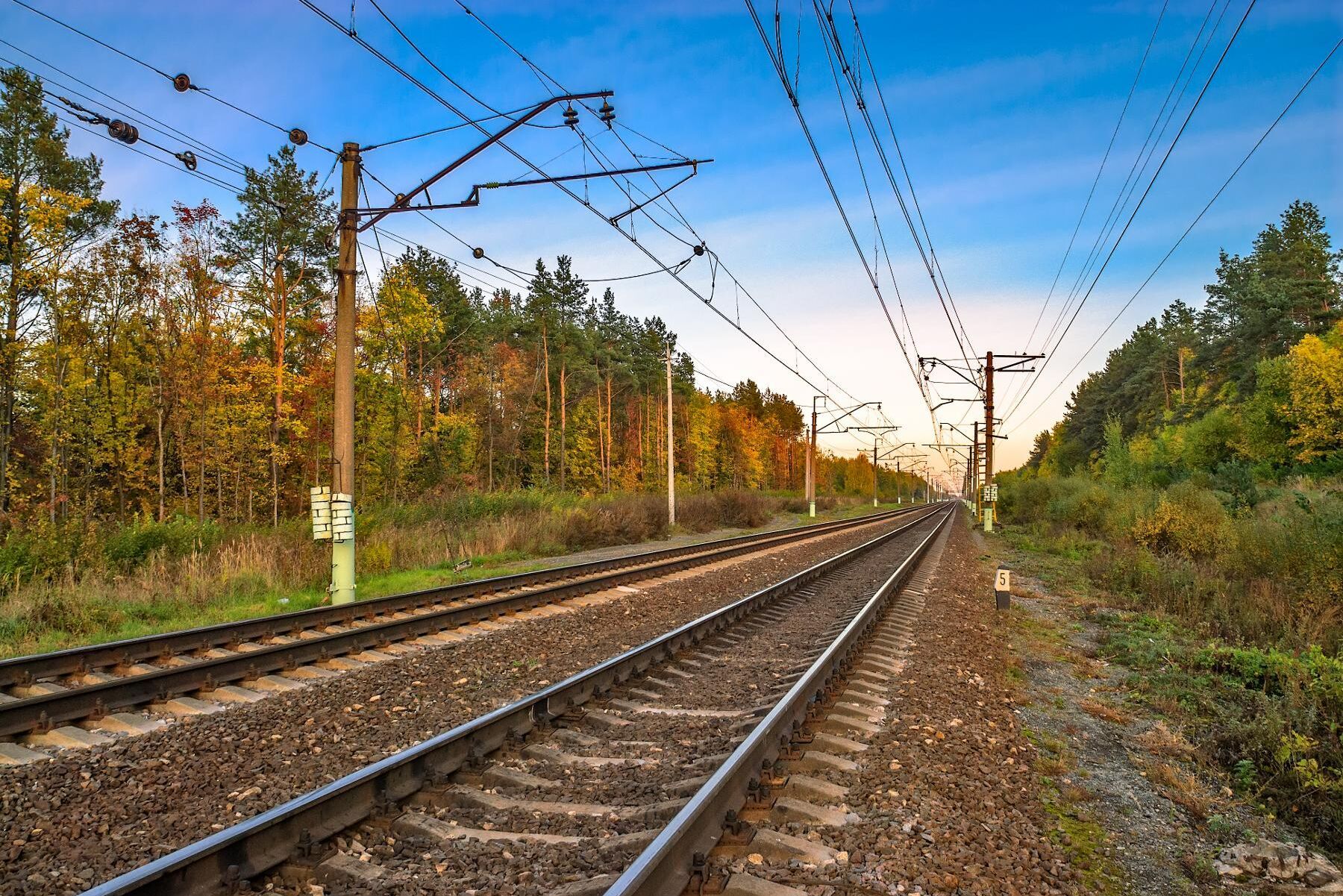 1 424 tamdjur om året rapporterades in som påkörda på järnvägen mellan 2012 och 2020.