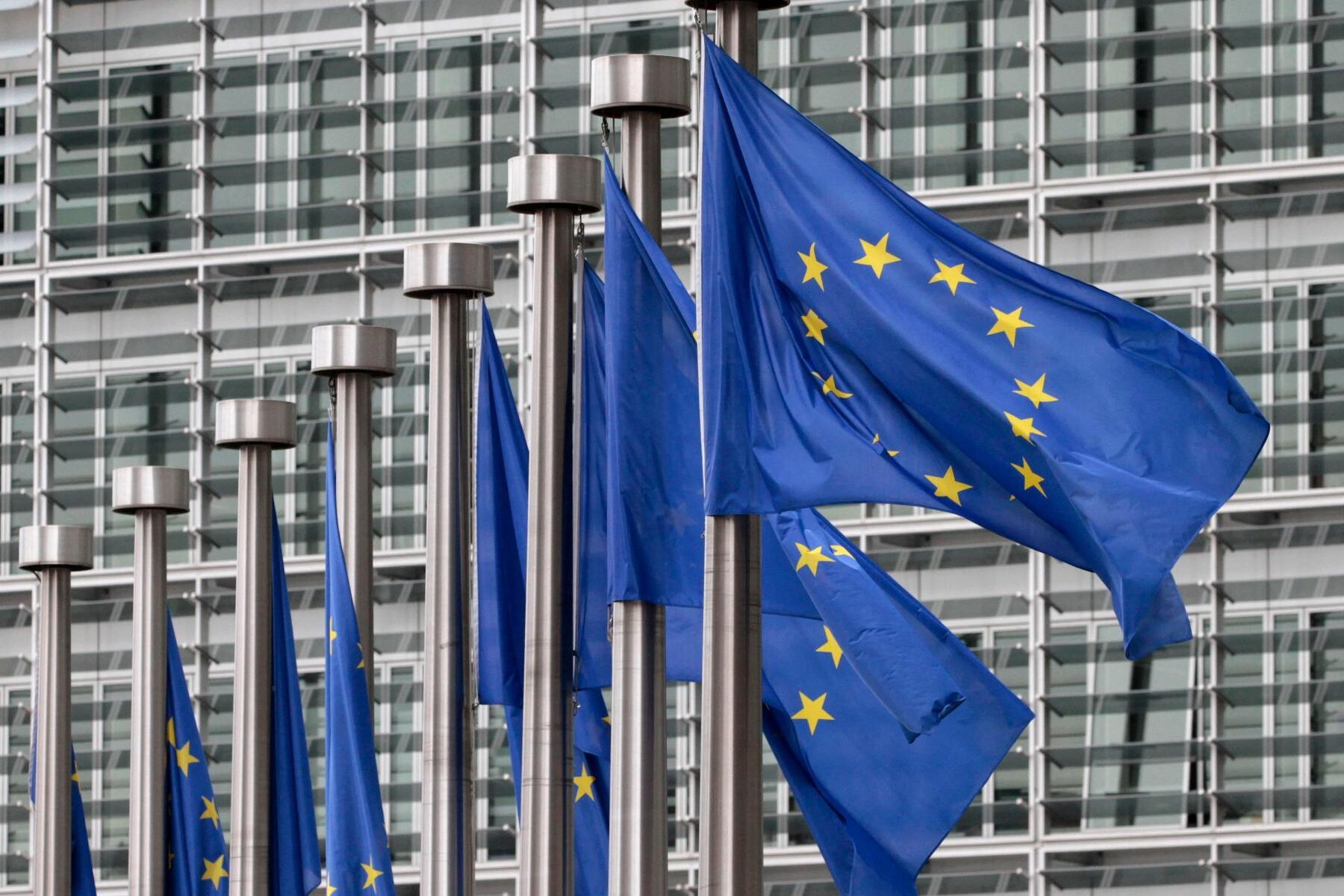 EU:s skogsstrategi riskerar att överföra de delar av skogspolitiken som Sverige i dag styr över till att avgöras i Bryssel.