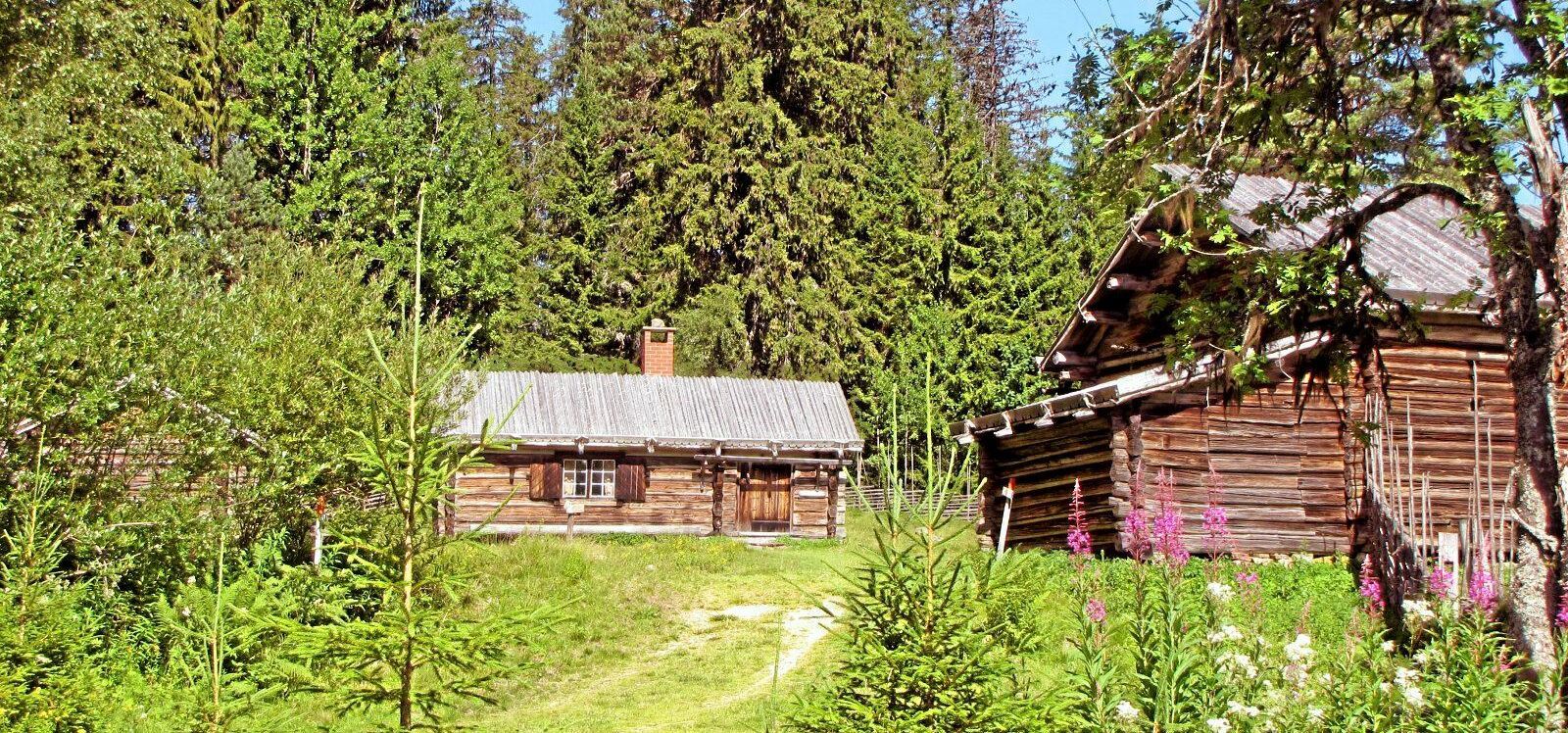 En fäbod får inte ligga närmare än 1 000 meter från hemgården. Det slår Länsstyrelsen i Västerbotten fast.