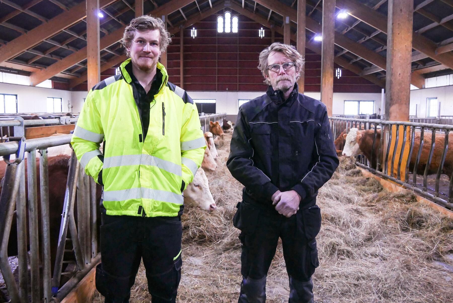 Lerbåda Gårds stall brann ner 2017 och är uppbyggt igen. ”Det är tuffare än vad man tror att gå i genom något sådant”, säger Thomas Palmqvist (till höger) som driver dikoproduktionen tillsammans med sonen Marcus Cederborg.