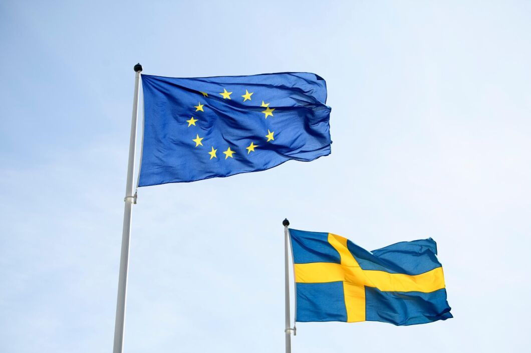 ”Vi vill se att mer av budgeten för Cap går till en bred palett av konkreta ersättningar”, skriver företrädare för Ekologiska Lantbrukarna.