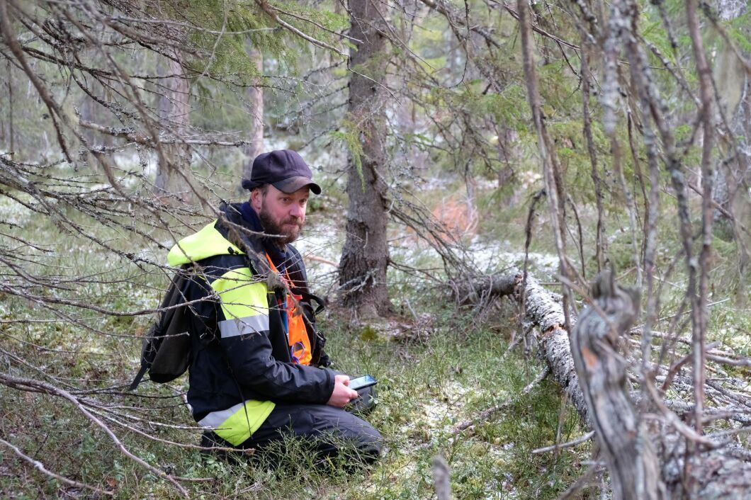 Magnus Kristoffersson på Skogsstyrelsen i Östersund genomför en nyckelbiotopsinventering.